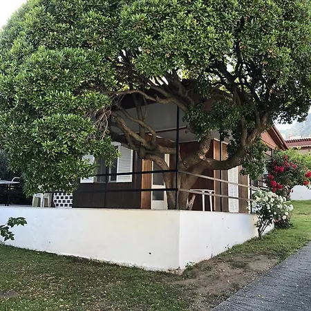 Deki Holiday Houses بيت للعطل *