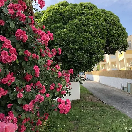 Deki Holiday Houses